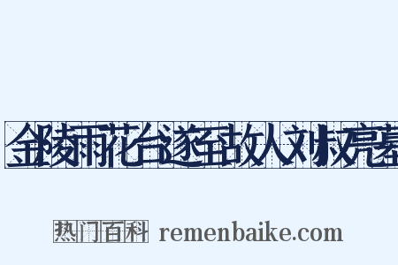 金陵雨花台遂至故人刘叔亮墓是什么意思的图片